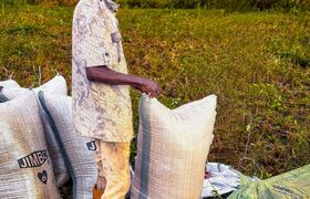 Agribusiness in Tanzania: From Farm to Market