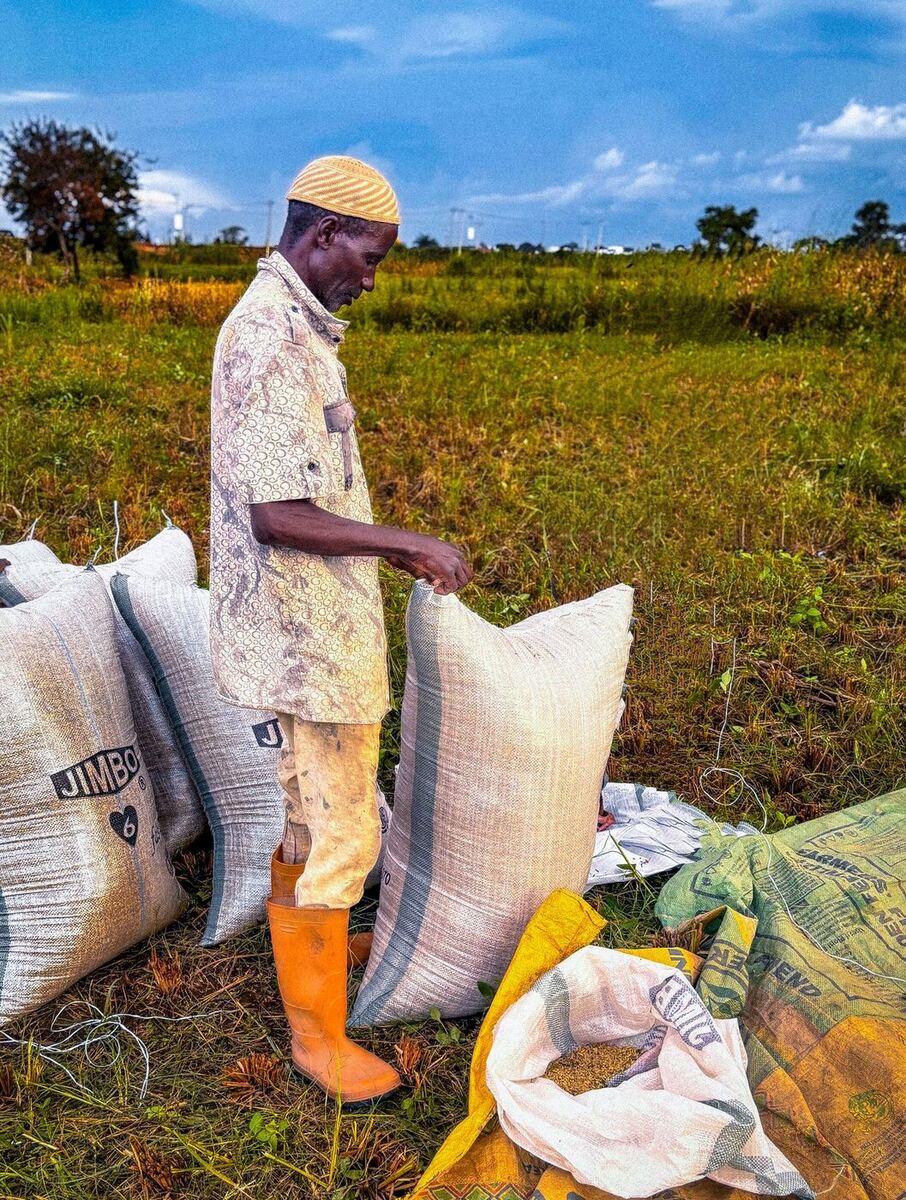 Agribusiness in Tanzania: From Farm to Market